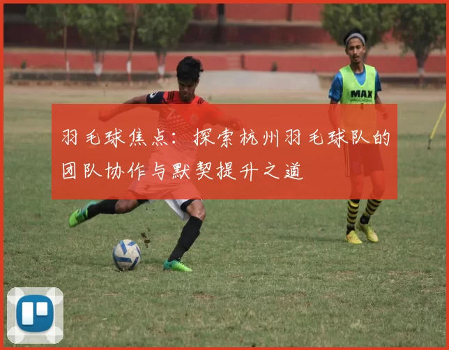 羽毛球焦点：探索杭州羽毛球队的团队协作与默契提升之道