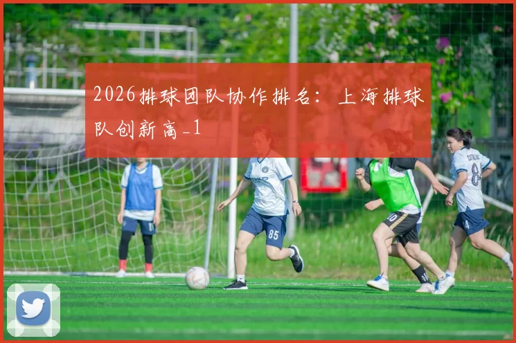 2026排球团队协作排名：上海排球队创新高_1