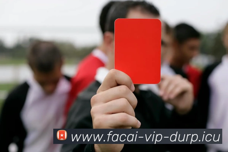 乐竞体育平台生态图