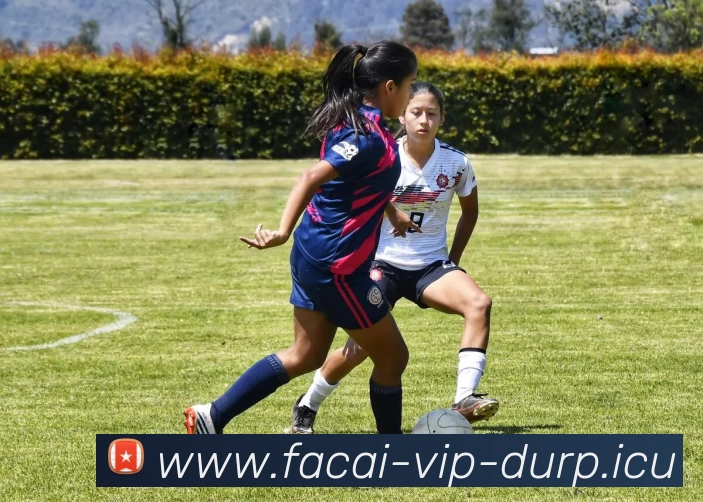 乐竞体育APP 封面图